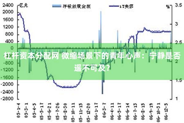 杠杆资本分配网 微缩场景下的青年心声：宁静是否遥不可及？