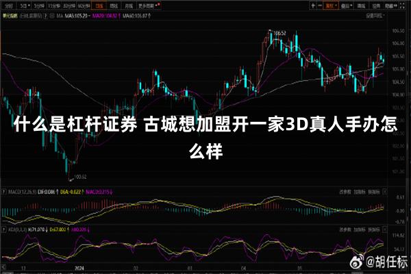 什么是杠杆证券 古城想加盟开一家3D真人手办怎么样