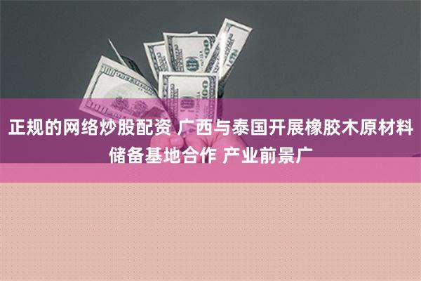 正规的网络炒股配资 广西与泰国开展橡胶木原材料储备基地合作 产业前景广