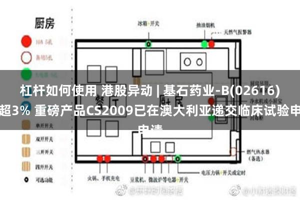 杠杆如何使用 港股异动 | 基石药业-B(02616)涨超3% 重磅产品CS2009已在澳大利亚递交临床试验申请